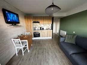 Appartement 50m de la mer !